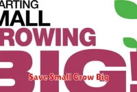 Save Small Grow Big