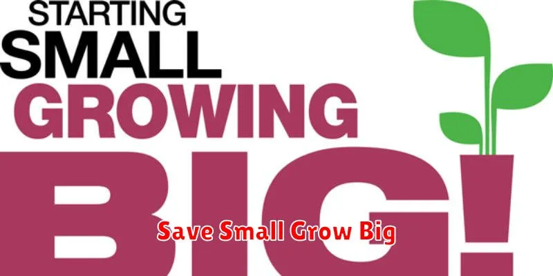 Save Small Grow Big
